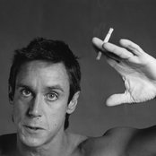 Pop Iggy - List pictures