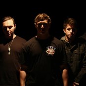 Feign - List pictures