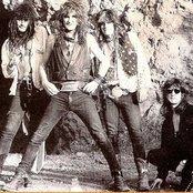 Dogs Damour - List pictures