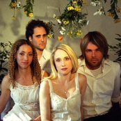 Hayley Taylor - List pictures