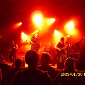 Breed 77 - List pictures