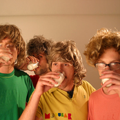 The Whitest Boy Alive - List pictures