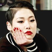 Cheetah - List pictures