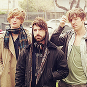 Foals - List pictures
