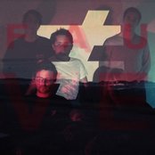 Fauve - List pictures