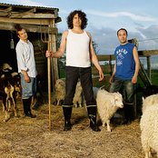 Meat Puppets - List pictures