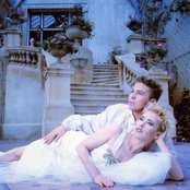 Dollar - List pictures