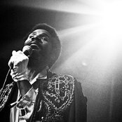 Cody Chesnutt - List pictures