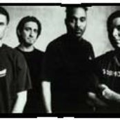 Dog Eat Dog - List pictures