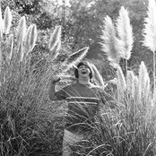 Brian Wilson - List pictures