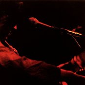 Horse Feathers - List pictures