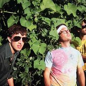 Trans Am - List pictures