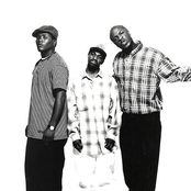 The Dove Shack - List pictures