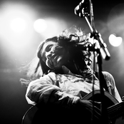 Laleh - List pictures