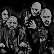 Root - List pictures