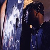 Spice 1 - List pictures
