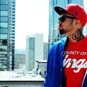 Nacho Picasso - List pictures