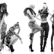 Evol - List pictures