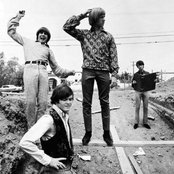 Monkeys - List pictures