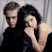 Sugarcubes - List pictures