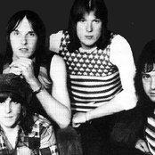 Chicory Tip - List pictures