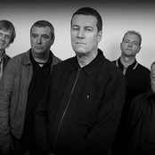 The Farm Inc. - List pictures