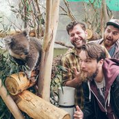 Bear's Den - List pictures