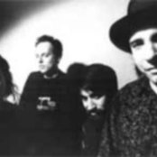 King Missile - List pictures