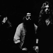 The Almighty - List pictures