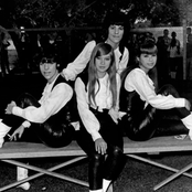 The Shangri-las - List pictures