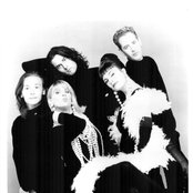 Voice Of The Beehive - List pictures