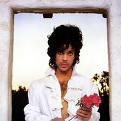 Prince - List pictures