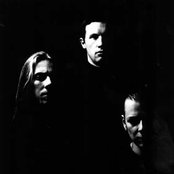 Emperor - List pictures