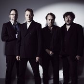 Weeping Willows - List pictures