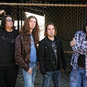 Faithsedge - List pictures