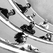 Titas - List pictures