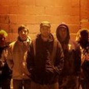 Daggermouth - List pictures