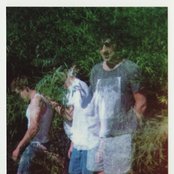 Grizzly Bear - List pictures