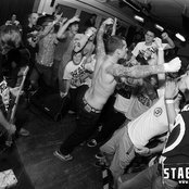 50 Lions - List pictures