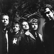 Six By Seven - List pictures