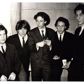 The Iguanas - List pictures