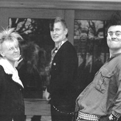 Chaos Uk - List pictures