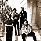 The Gun Club - List pictures