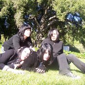 Scarling - List pictures