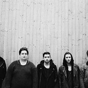 Eliza And The Bear - List pictures