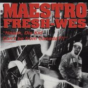 Maestro Fresh Wes - List pictures