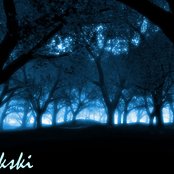 Cukski - List pictures