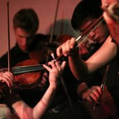 Mother Falcon - List pictures