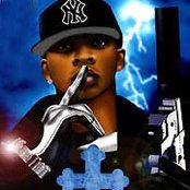 Papoose - List pictures