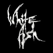 White Ash - List pictures
